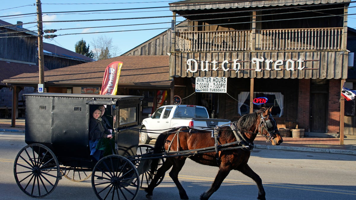 Vagones Amish en Spartanburg, Pensilvania