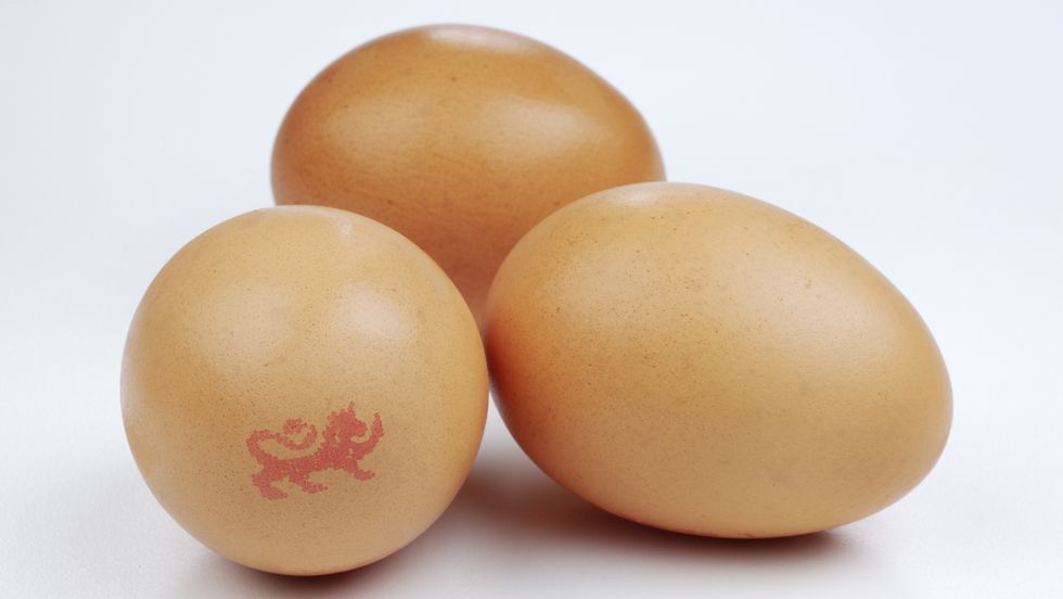 Un montón de huevos marrones