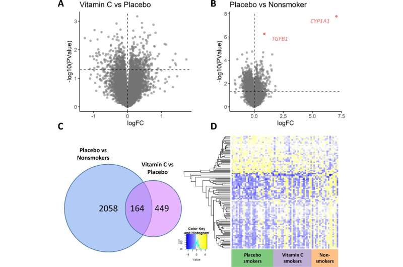 La vitamina C promueve la salud placentaria y cambia la actividad genética en los fumadores