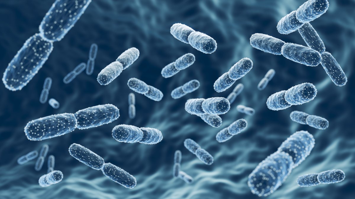 bacterias