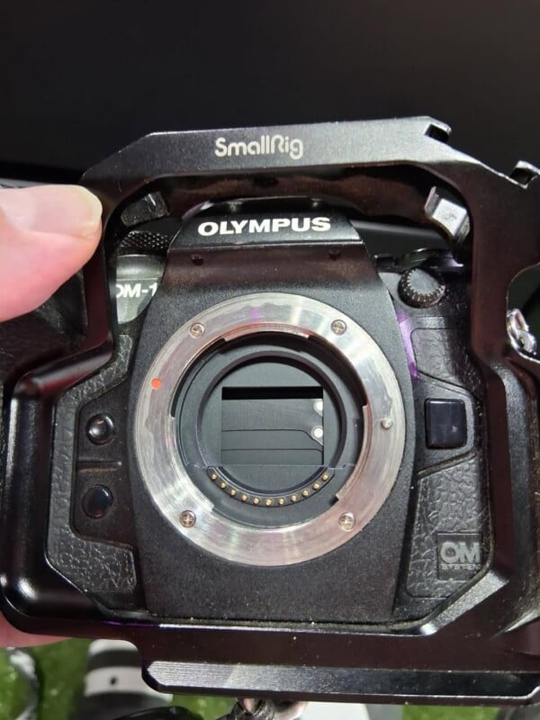 Primer plano del cuerpo de la cámara Olympus OM-1 sin lente, colocado en la jaula SmallRig. El sensor de la cámara y la montura de la lente son visibles, así como parte de la mano que agarra la jaula.